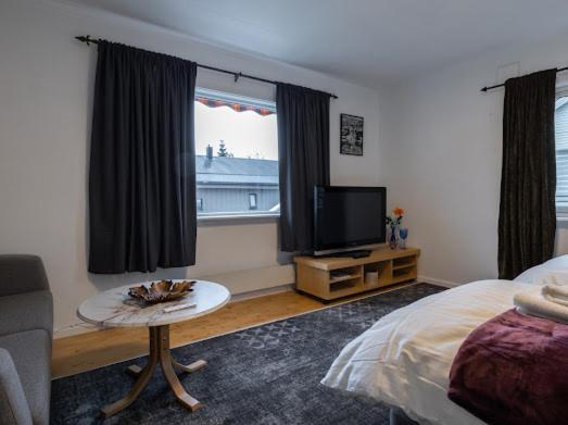 Aurora Dream House Apartment With Free Parking Tromsø Eksteriør billede