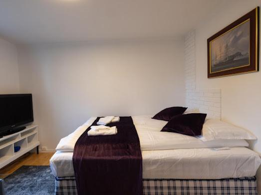 Aurora Dream House Apartment With Free Parking Tromsø Eksteriør billede